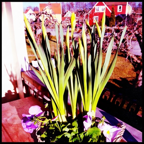 20120331-234749.jpg