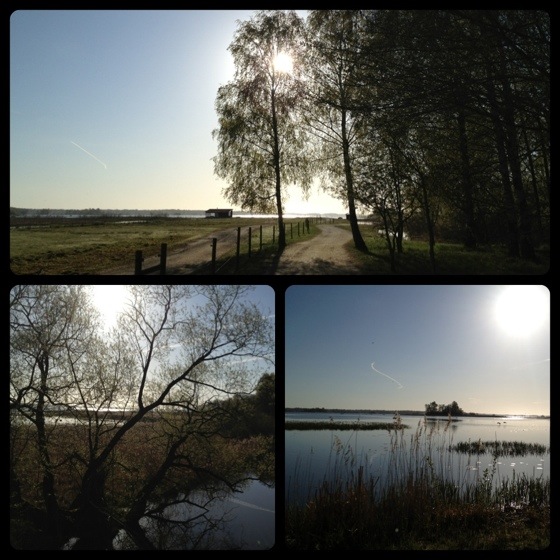 20120509-231915.jpg