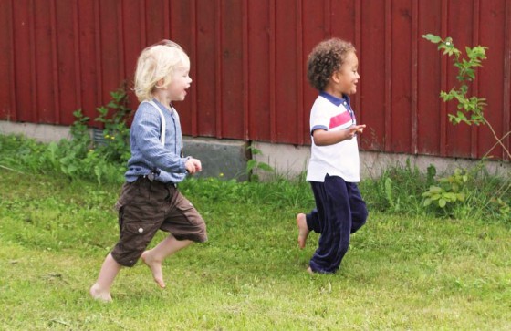 Busfrön